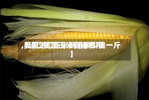 【进口美国玉米到港费用,美国进口玉米到港多少钱一斤】-第3张图片