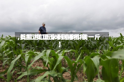【进口美国玉米到港费用,美国进口玉米到港多少钱一斤】