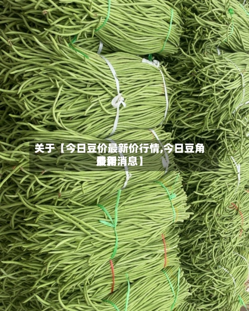 关于【今日豆价最新价行情,今日豆角费用最新消息】
