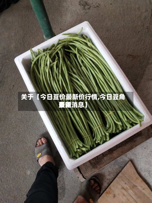 关于【今日豆价最新价行情,今日豆角费用最新消息】-第3张图片
