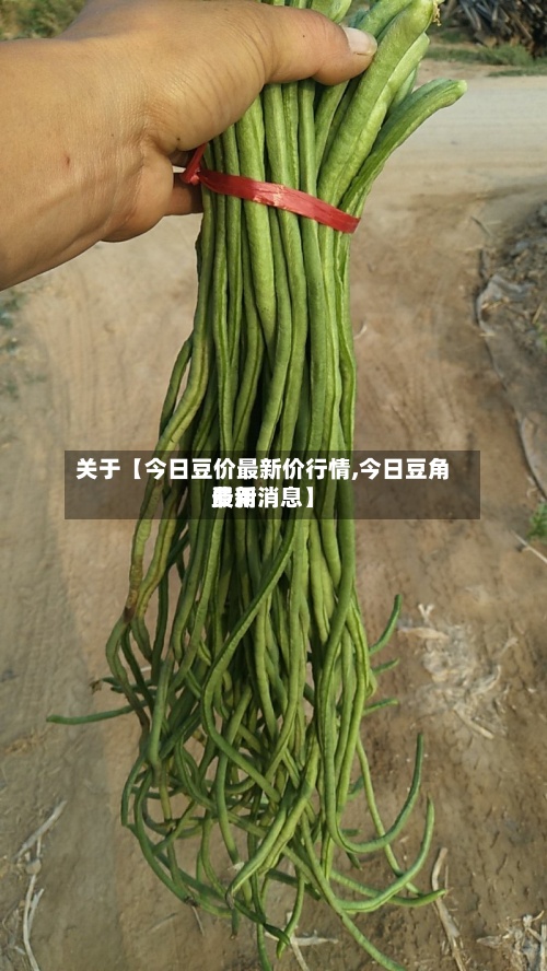 关于【今日豆价最新价行情,今日豆角费用最新消息】-第2张图片