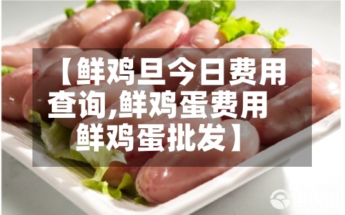 【鲜鸡旦今日费用查询,鲜鸡蛋费用鲜鸡蛋批发】-第3张图片