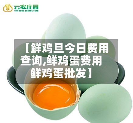 【鲜鸡旦今日费用查询,鲜鸡蛋费用鲜鸡蛋批发】-第2张图片