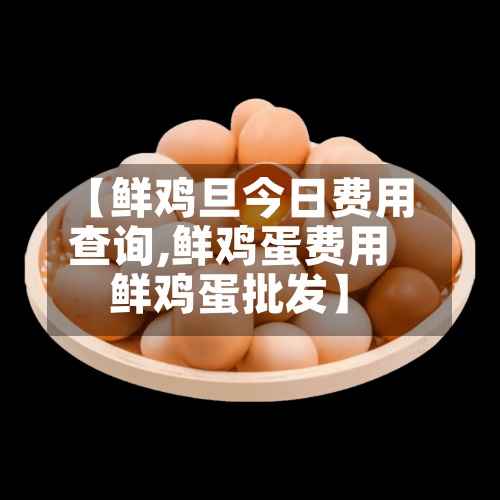 【鲜鸡旦今日费用查询,鲜鸡蛋费用鲜鸡蛋批发】