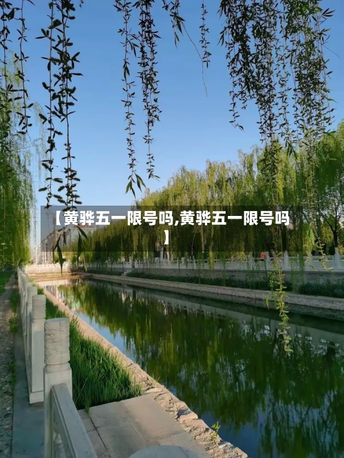 【黄骅五一限号吗,黄骅五一限号吗】-第2张图片