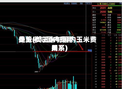 美玉米与国内费用走势(美玉米与国内玉米费用关系)