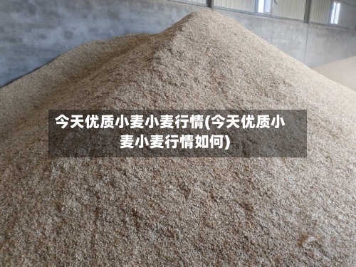 今天优质小麦小麦行情(今天优质小麦小麦行情如何)