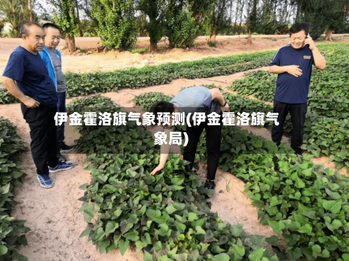 伊金霍洛旗气象预测(伊金霍洛旗气象局)