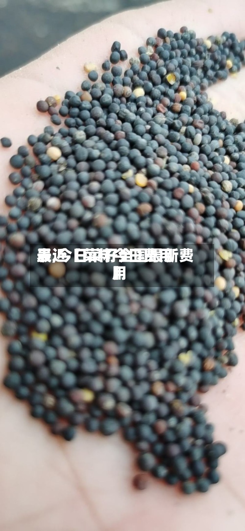 最近【菜籽今日费用表,今日菜籽全国最新费用】