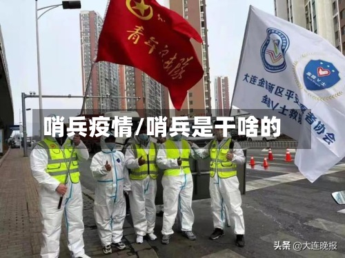 哨兵疫情/哨兵是干啥的