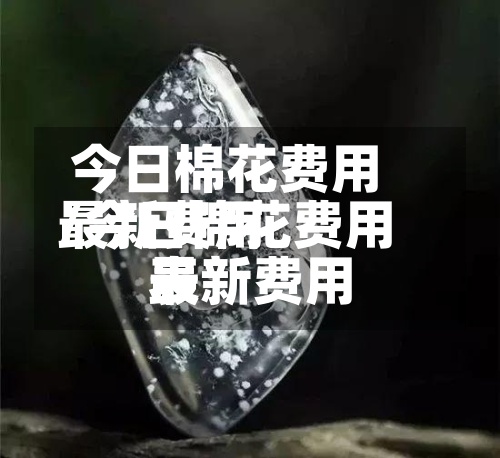 今日棉花费用最新费用/今日棉花费用最新费用表