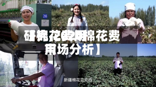 【棉花费用研究,2020棉花费用市场分析】