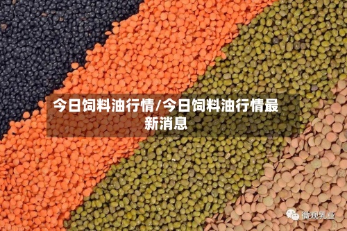 今日饲料油行情/今日饲料油行情最新消息-第2张图片