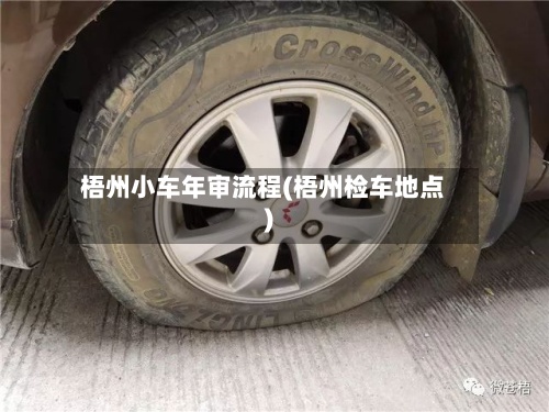 梧州小车年审流程(梧州检车地点)