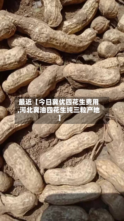 最近【今日冀优四花生费用
,河北冀油四花生纯三粒产地】-第2张图片