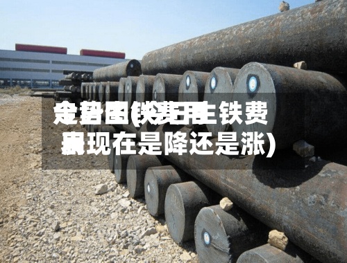今日生铁费用
走势图(今日生铁费用
表现在是降还是涨)-第3张图片