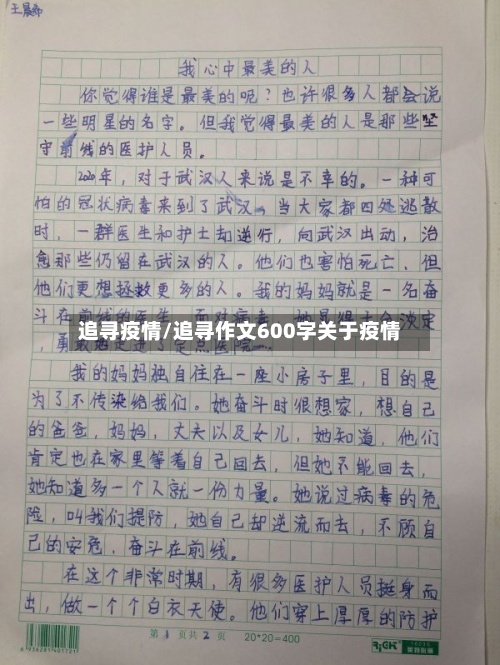 追寻疫情/追寻作文600字关于疫情