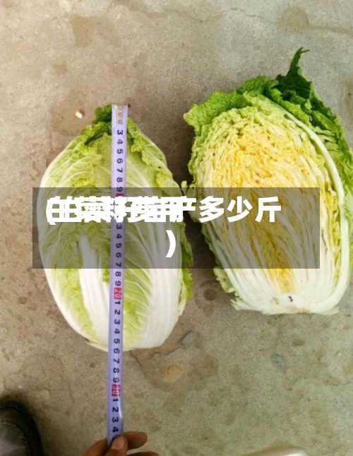 白菜籽费用(白菜籽亩产多少斤)