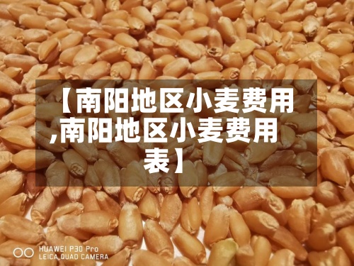 【南阳地区小麦费用,南阳地区小麦费用表】