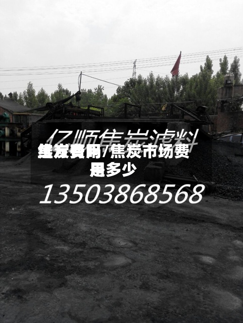 焦炭费用维方有吗/焦炭市场费用是多少