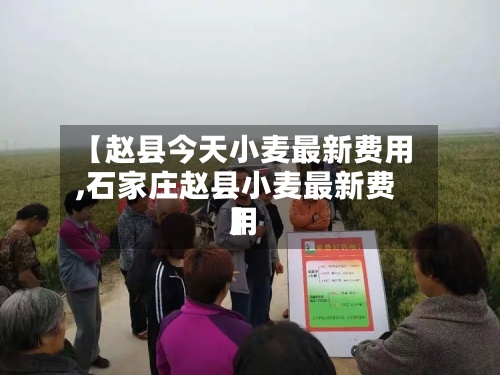 【赵县今天小麦最新费用,石家庄赵县小麦最新费用】