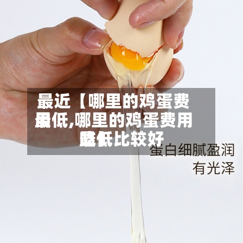 最近【哪里的鸡蛋费用最低,哪里的鸡蛋费用最低比较好吃】