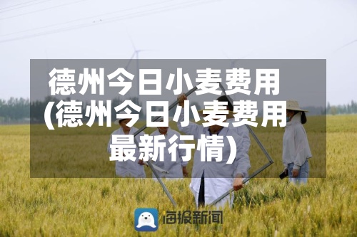 德州今日小麦费用(德州今日小麦费用最新行情)