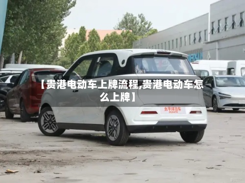 【贵港电动车上牌流程,贵港电动车怎么上牌】