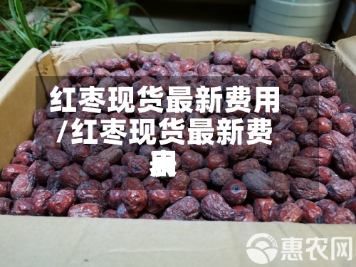 红枣现货最新费用/红枣现货最新费用表