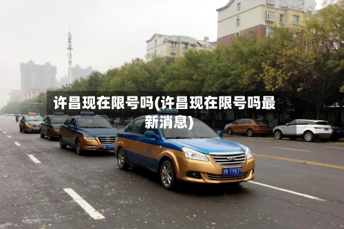 许昌现在限号吗(许昌现在限号吗最新消息)-第3张图片