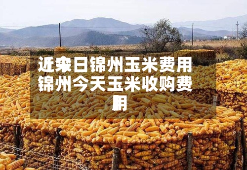 近来【今日锦州玉米费用锦州今天玉米收购费用】