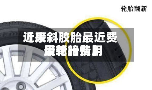 近来【废斜胶胎最近费用废轮胎费用最新行情】-第2张图片