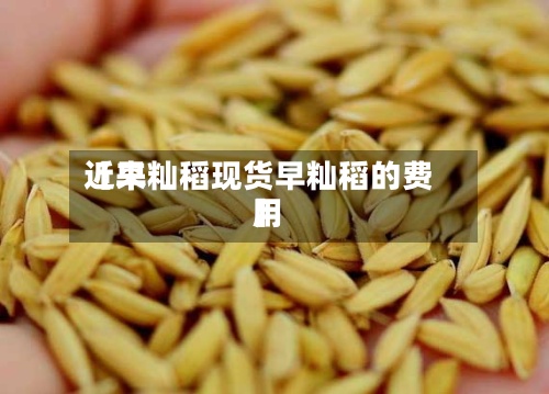 近来【早籼稻现货早籼稻的费用】