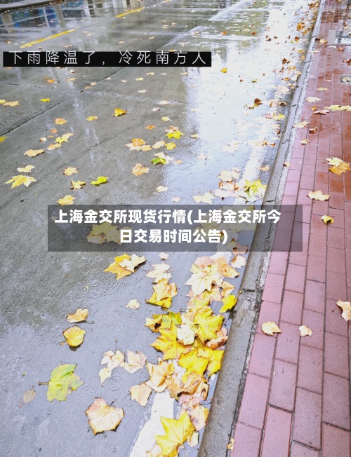 上海金交所现货行情(上海金交所今日交易时间公告)