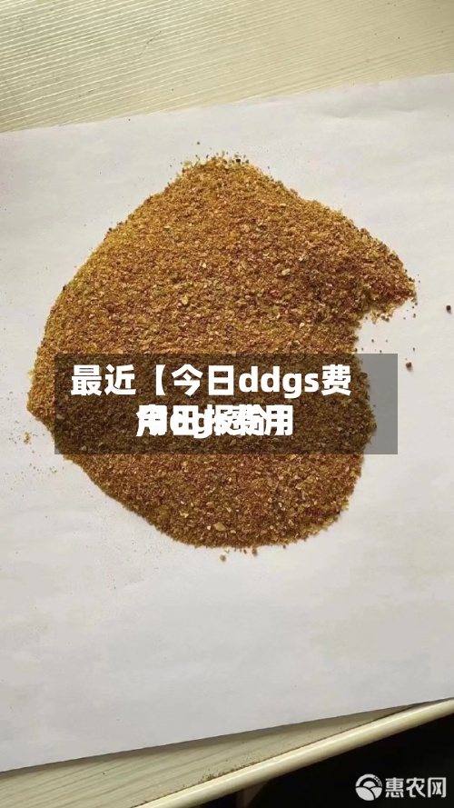 最近【今日ddgs费用,ddgs费用今日报价】