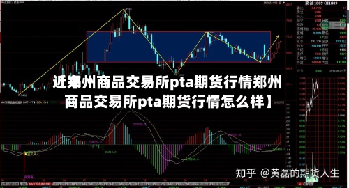 近来【郑州商品交易所pta期货行情郑州商品交易所pta期货行情怎么样】-第2张图片