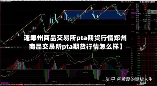 近来【郑州商品交易所pta期货行情郑州商品交易所pta期货行情怎么样】-第3张图片