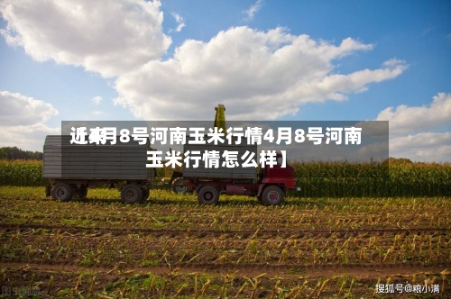 近来【4月8号河南玉米行情4月8号河南玉米行情怎么样】