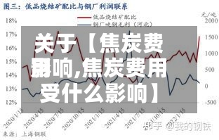 关于【焦炭费用影响,焦炭费用受什么影响】