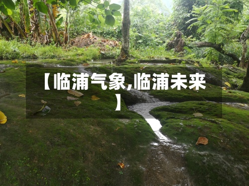 【临浦气象,临浦未来】-第2张图片