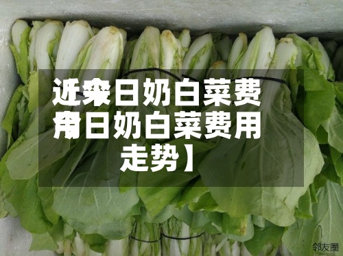 近来【今日奶白菜费用今日奶白菜费用走势】