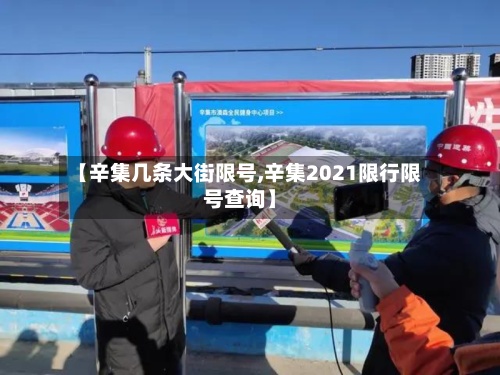 【辛集几条大街限号,辛集2021限行限号查询】