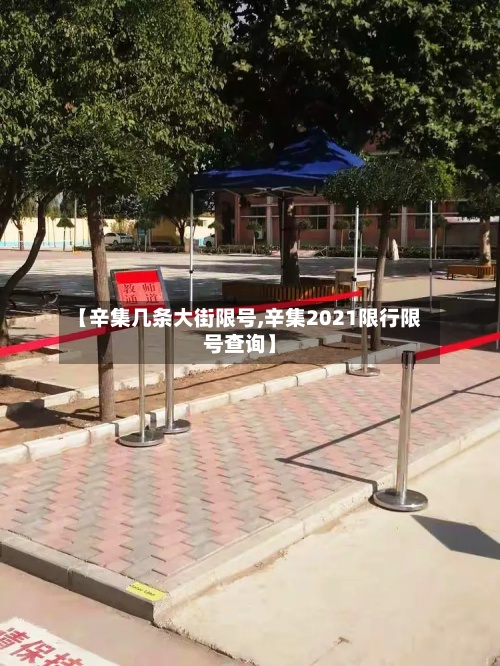 【辛集几条大街限号,辛集2021限行限号查询】-第2张图片