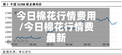 今日棉花行情费用/今日棉花行情费用最新