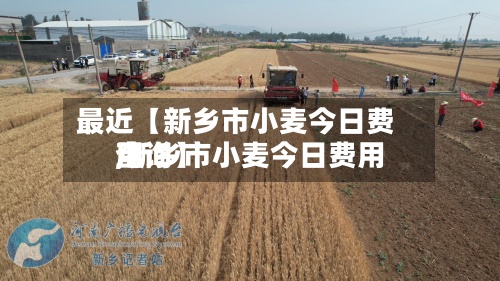 最近【新乡市小麦今日费用,新乡市小麦今日费用查询】