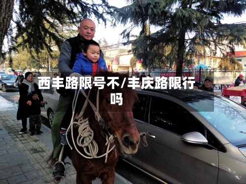 西丰路限号不/丰庆路限行吗-第2张图片