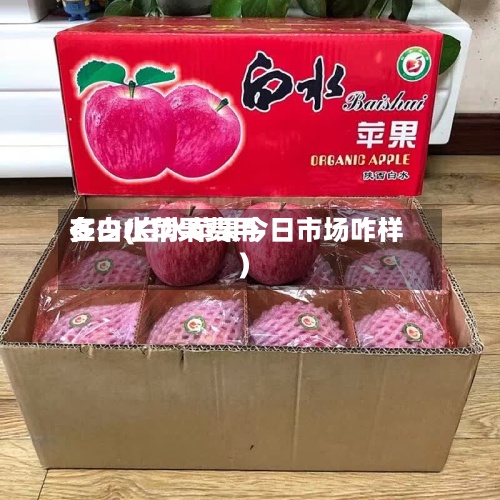 在白水苹果费用多少(白水苹果今日市场咋样)