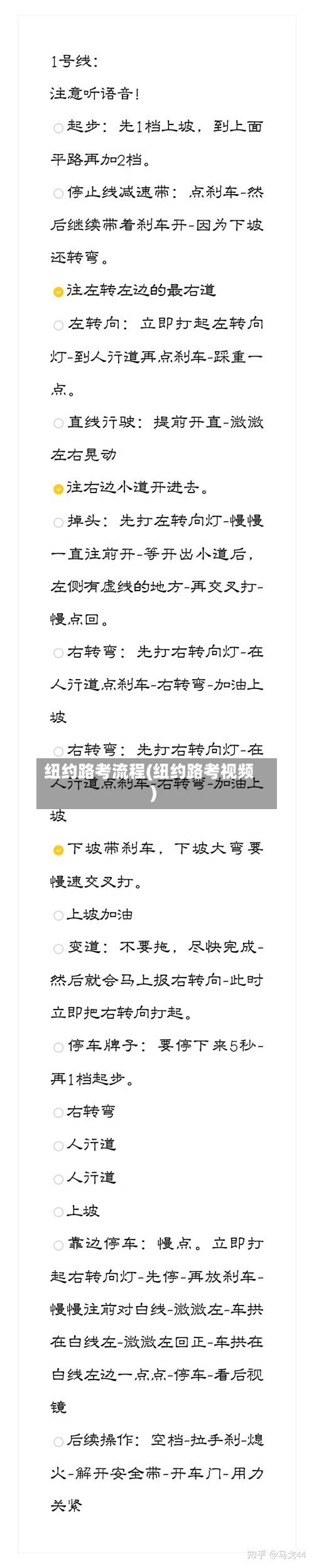 纽约路考流程(纽约路考视频)