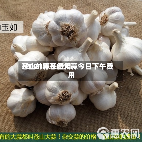 苍山的蒜头费用/2021年苍山大蒜今日下午费用-第2张图片