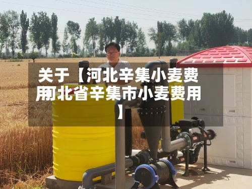 关于【河北辛集小麦费用,河北省辛集市小麦费用】